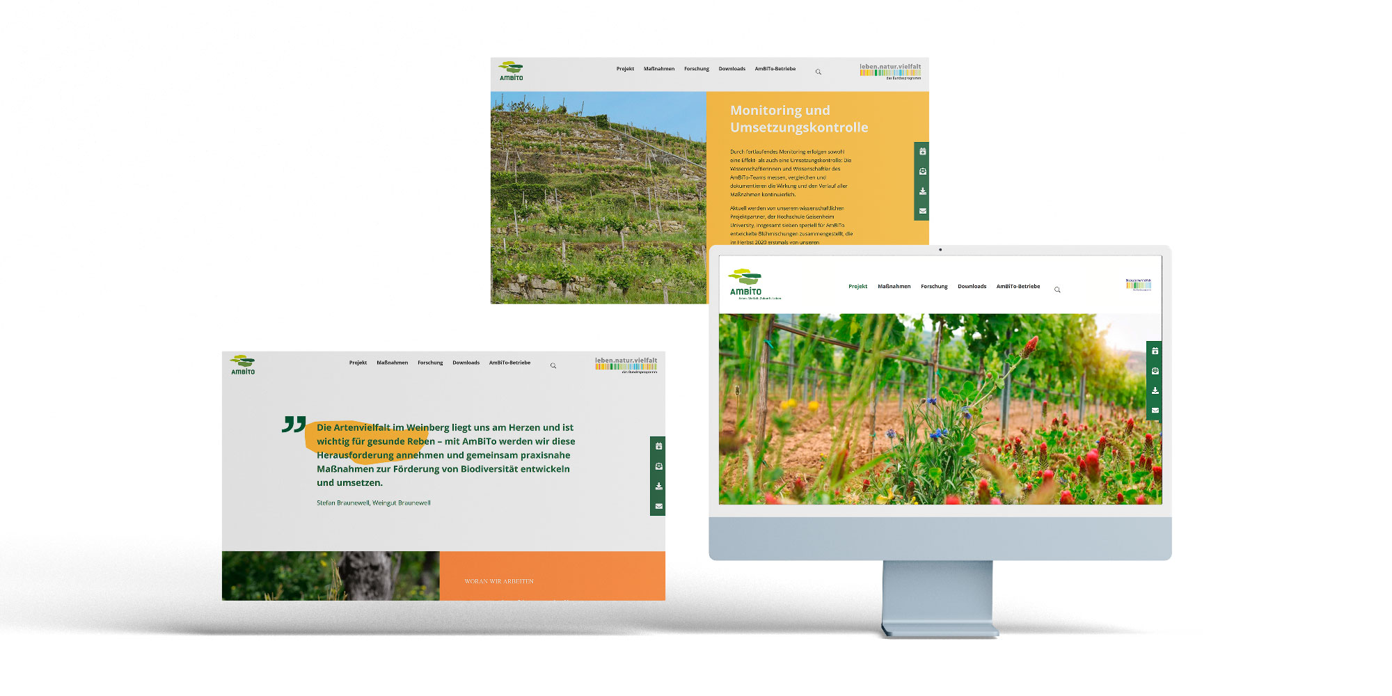 Website Screens der Ambito Seite