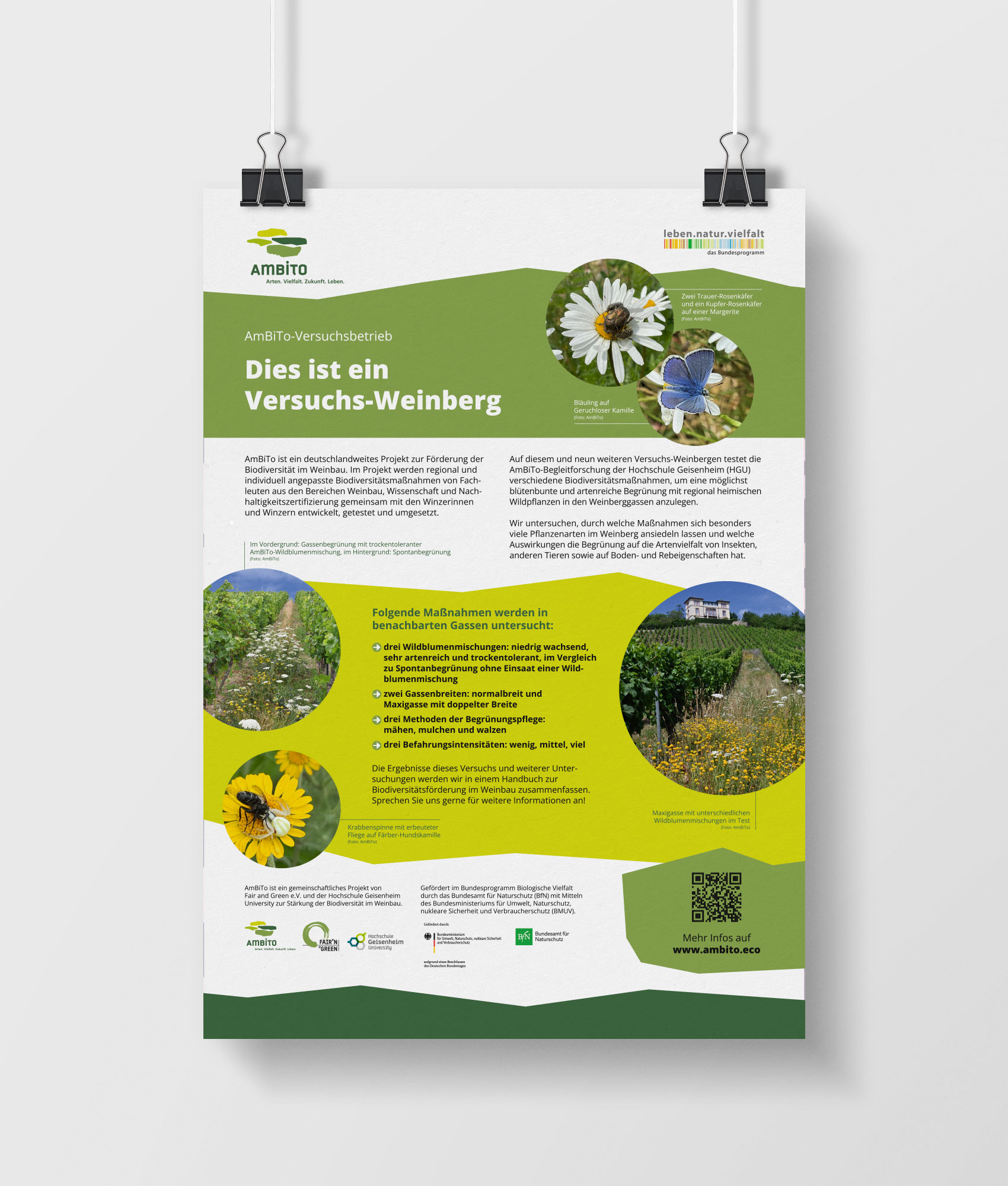 Mock-up Infoplakat Versuchs-Weinberg