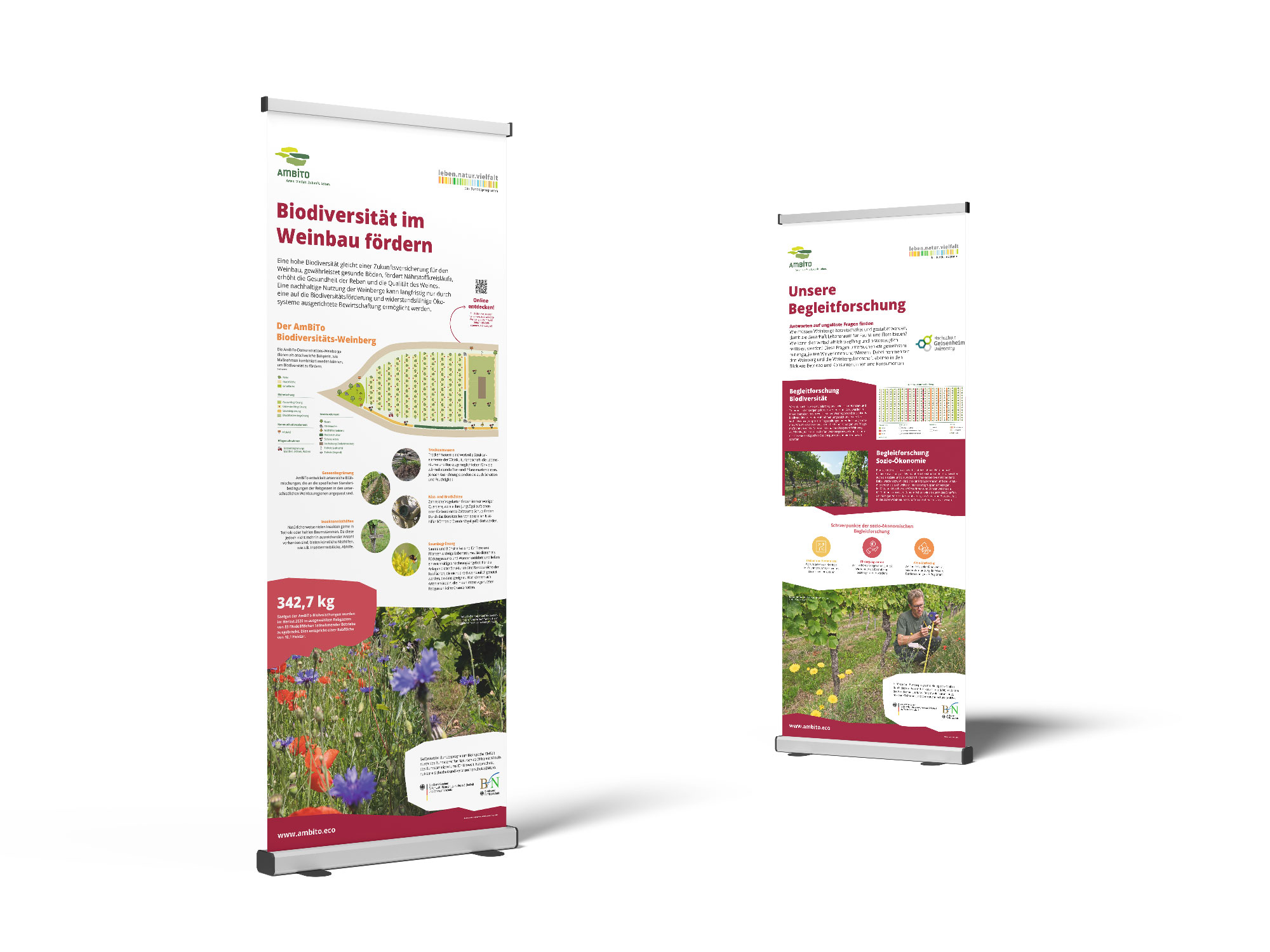 Mock-up Roll-up Biodiversität und Weinbau