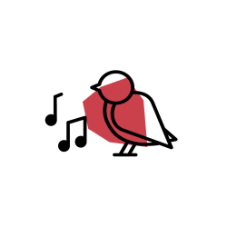 Icon Vogelgezwitscher