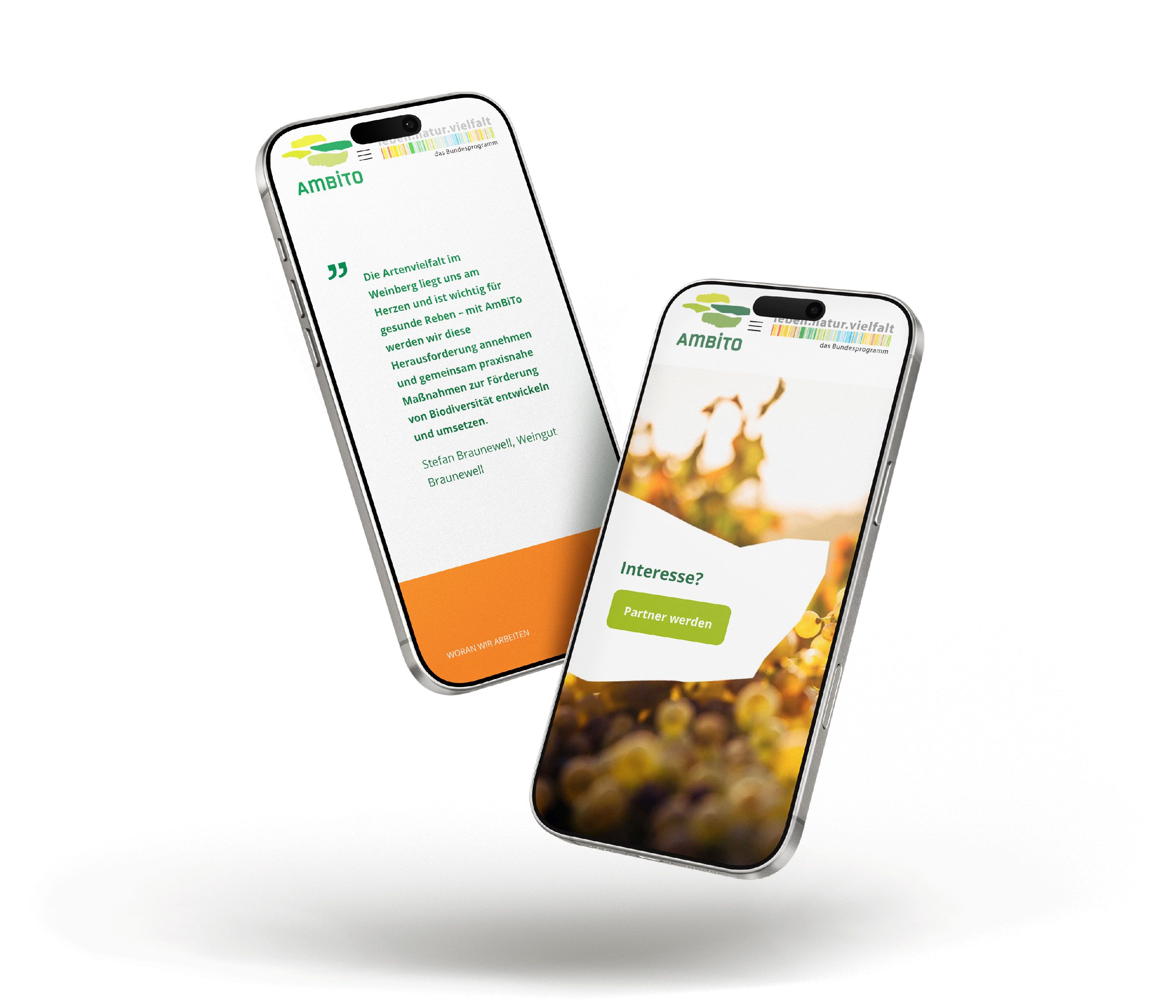 Ambito Mobile Beispiele der Webseite