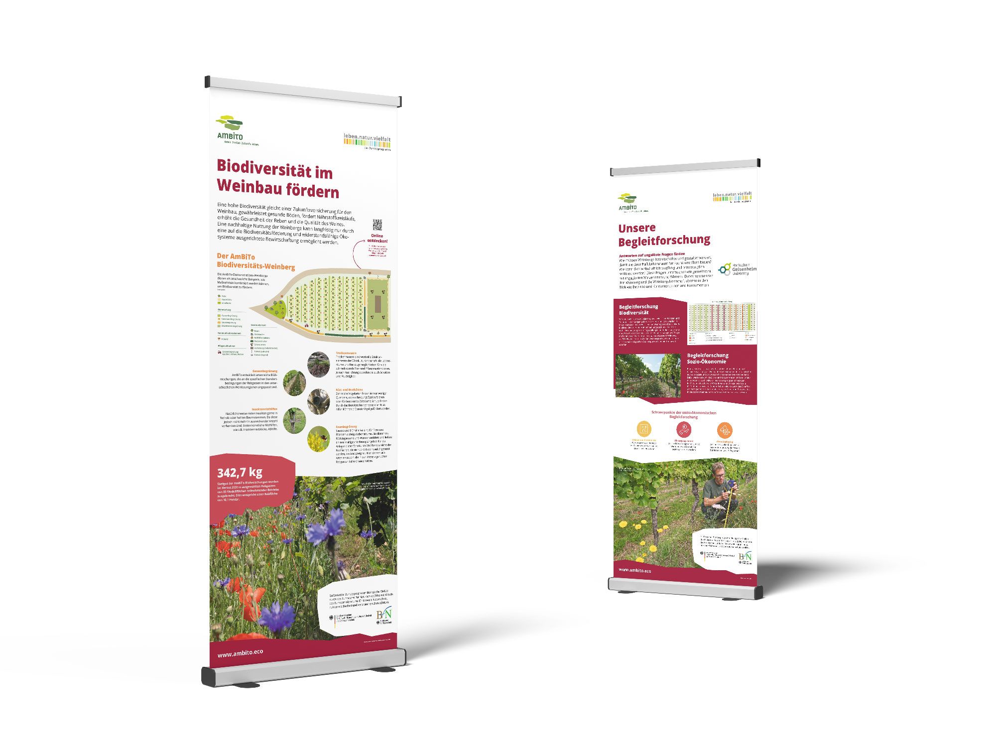 Mock-up Roll-up Biodiversität und Weinbau